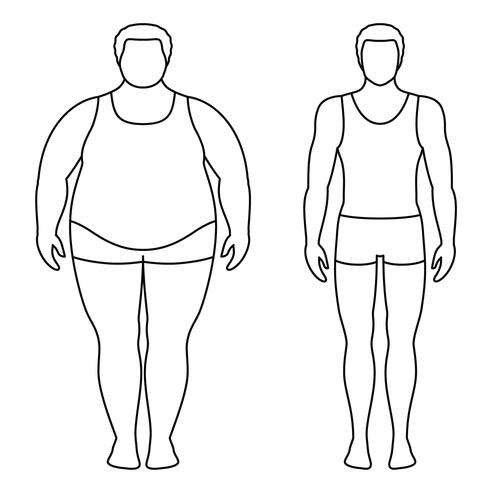 Silueta de dos cuerpos usados como referencia — uno con mayor porcentaje de grasa corporal y otro con mayor masa muscular.