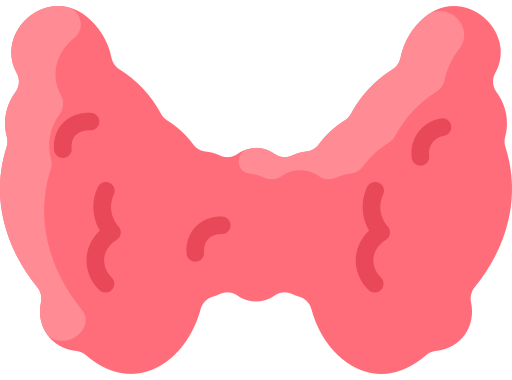 Diagrama ilustrativo de la glándula tiroides